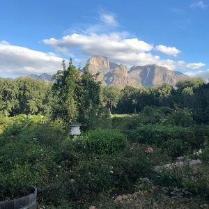 Meet your Posher, Petet